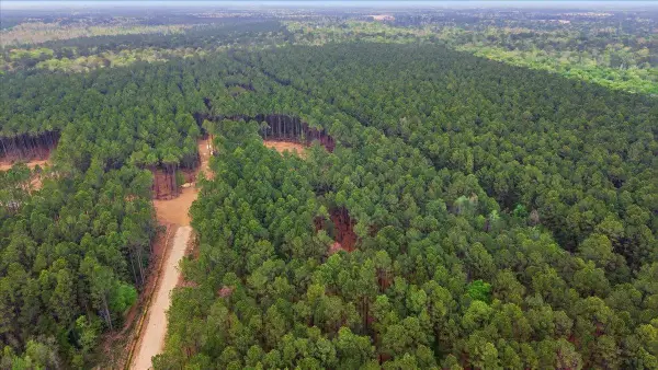 16201 Rustric Ranch Rd, Sour Lake, TX 77659