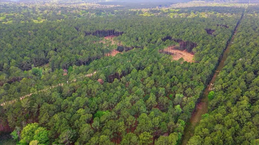 16201 Rustric Ranch Rd, Sour Lake, TX 77659 - #3