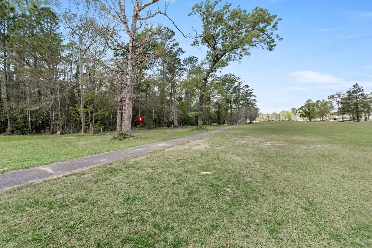 000 Lakeview Dr, Sour Lake, TX 77659 - #1