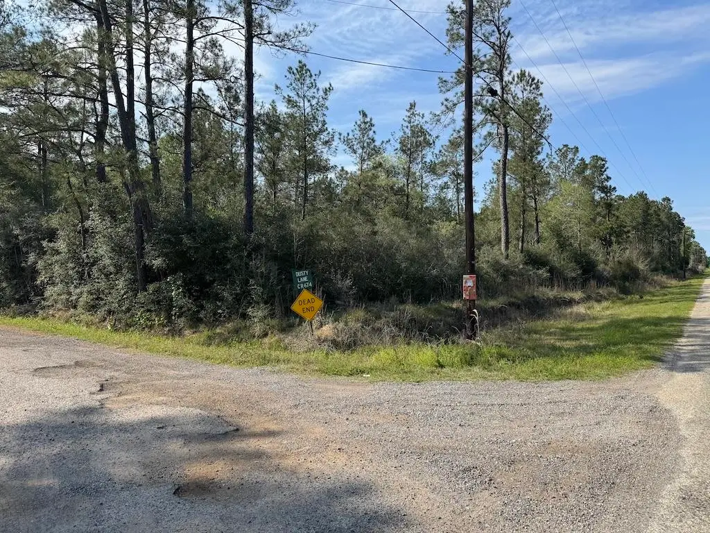 tbd Five Acre Tract Rd, Buna, TX 77612 - #1