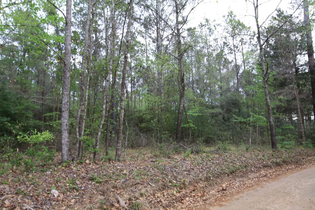 TBD KATHERINE DR, Woodville, TX 75979 - #1