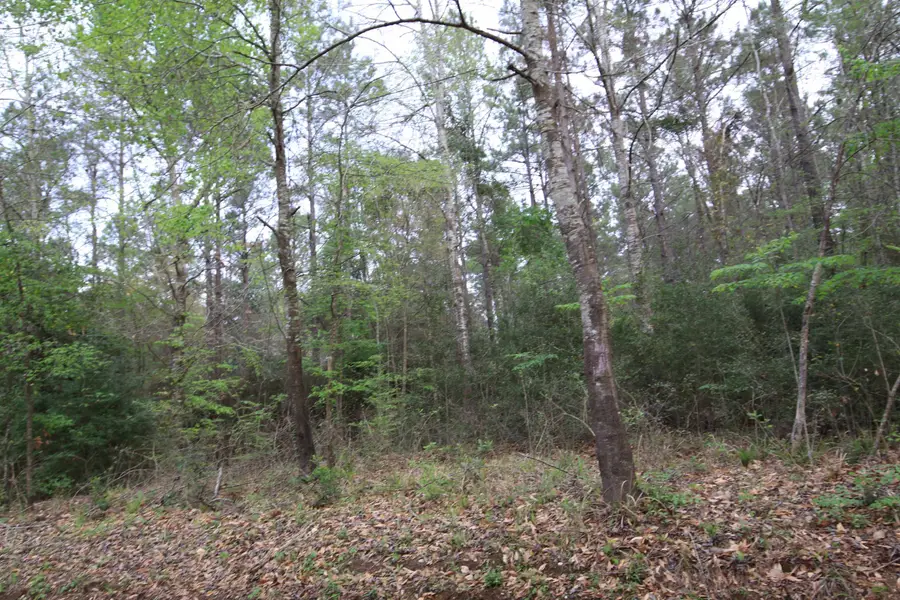 TBD KATHERINE DR, Woodville, TX 75979 - #2