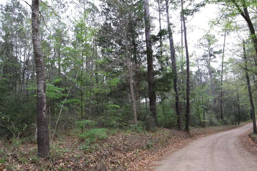 TBD KATHERINE DR, Woodville, TX 75979 - #3