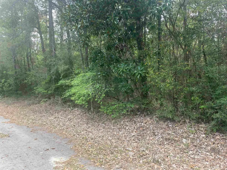 LOT 8 CHESTNUT DR, Village Mills, TX 77663 - #3