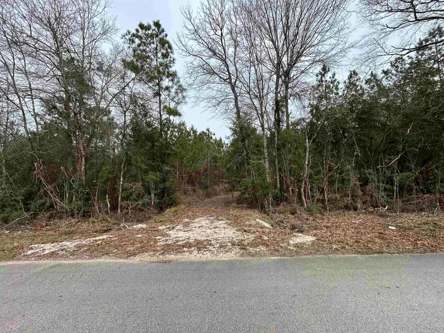 435 Gore Store Rd, Village Mills, TX 77664 - #2