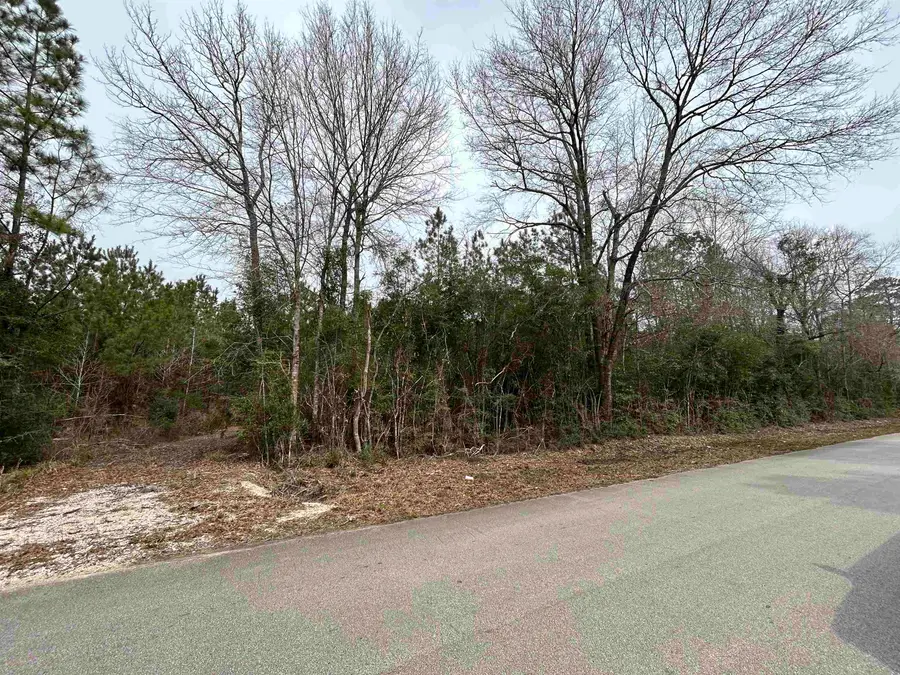 435 Gore Store Rd, Village Mills, TX 77664 - #3