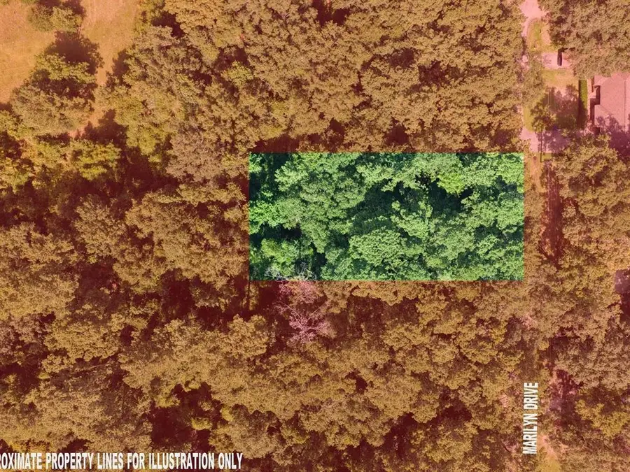 137 Marilyn, Lumberton, TX 77657 - #2