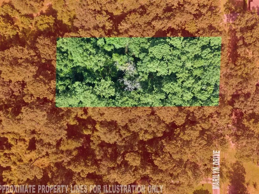 133 Marilyn Street, Lumberton, TX 77657 - #2