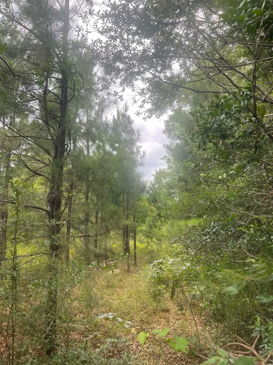 02 CR 4595, Fred, TX 77616 - #3