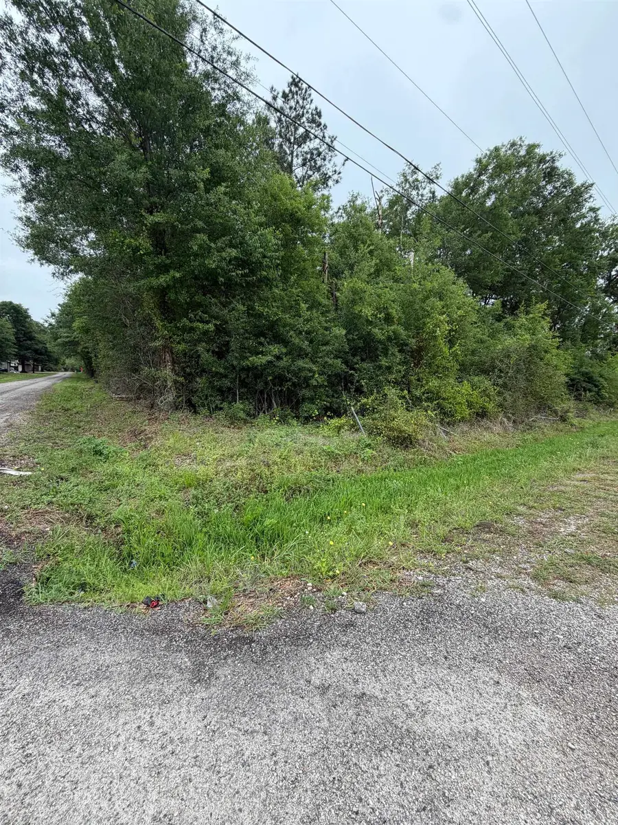 1605 Concord, Vidor, TX 77662 - #2