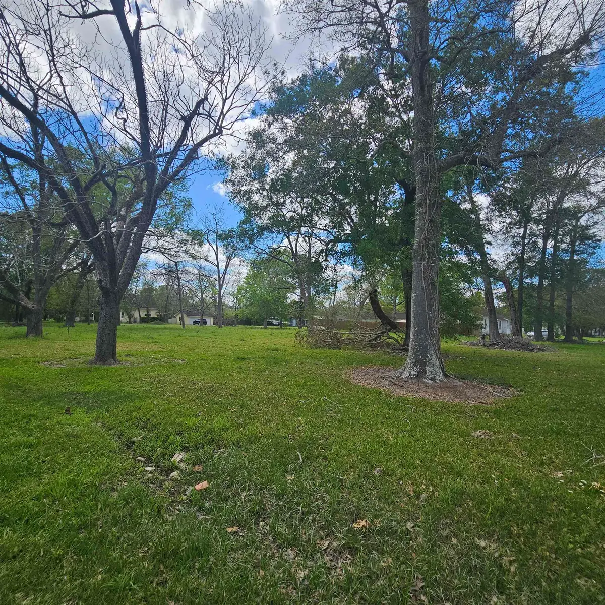 000 Lee Street, Sour Lake, TX 77659 - #1