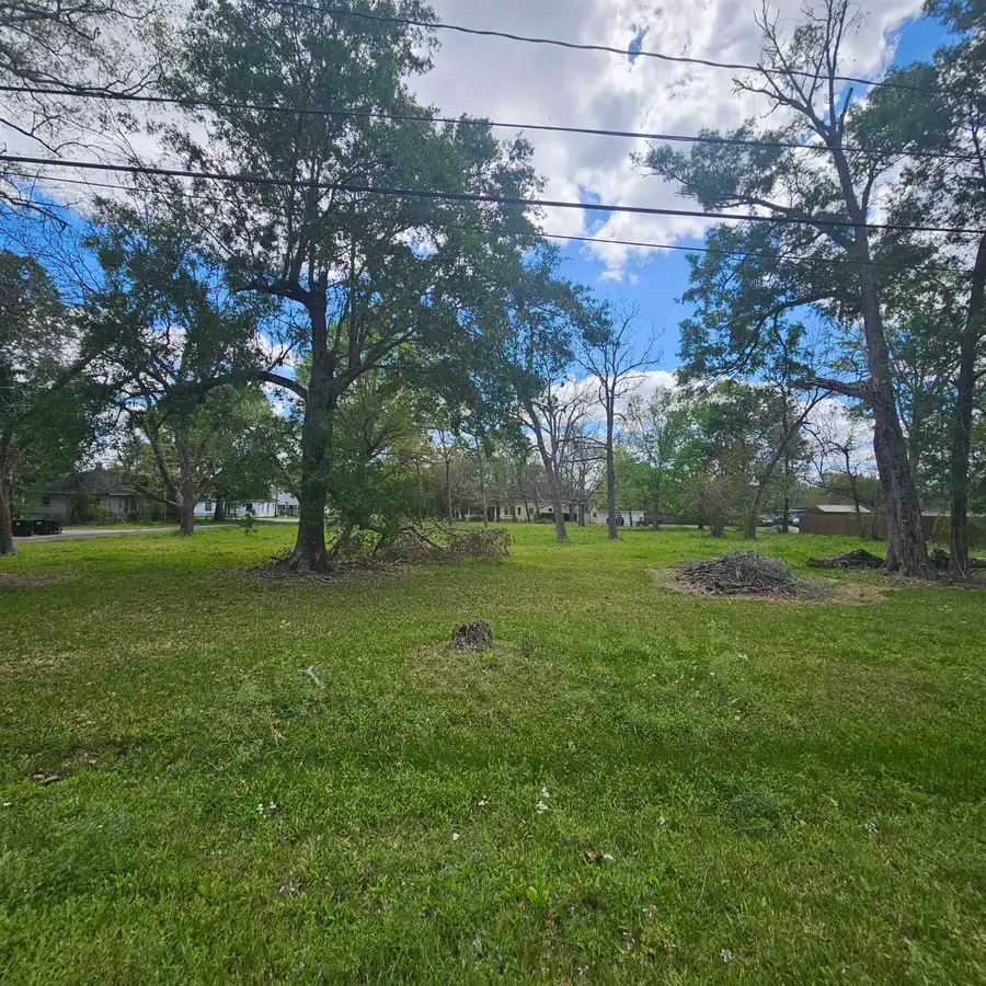 000 Lee Street, Sour Lake, TX 77659 - #2