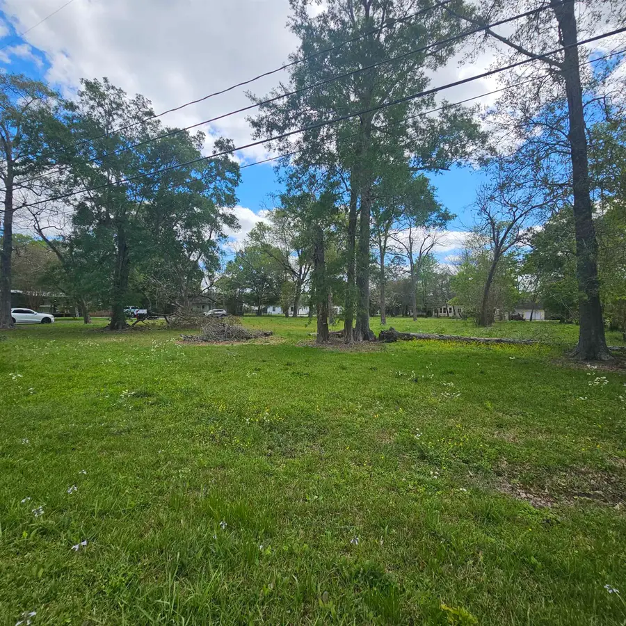 000 Lee Street, Sour Lake, TX 77659 - #3