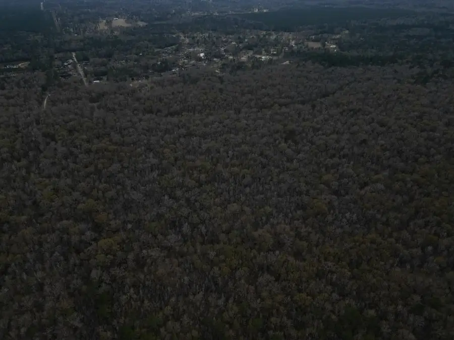 0 Woodway Blvd, Sour Lake, TX 77659 - #2