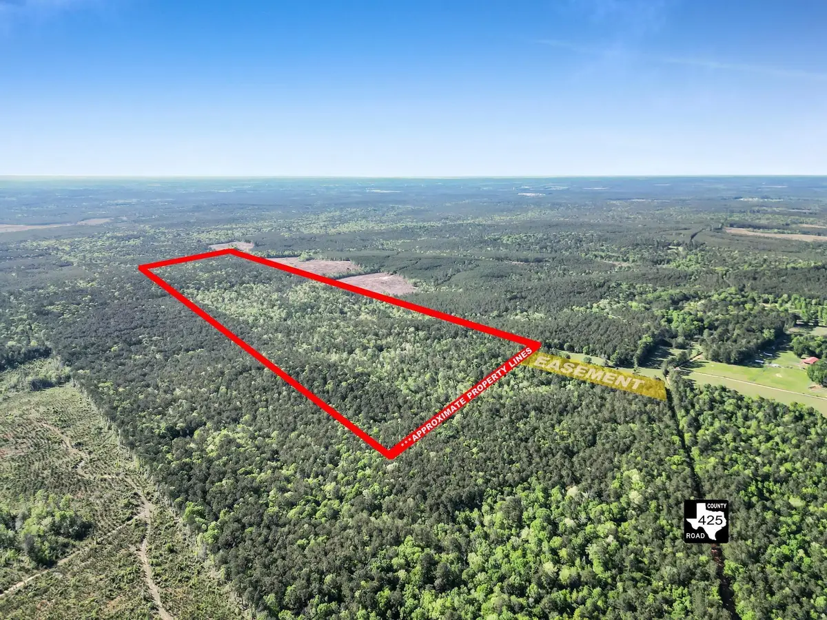 0000 County Road 425, Kirbyville, TX 75956 - #1
