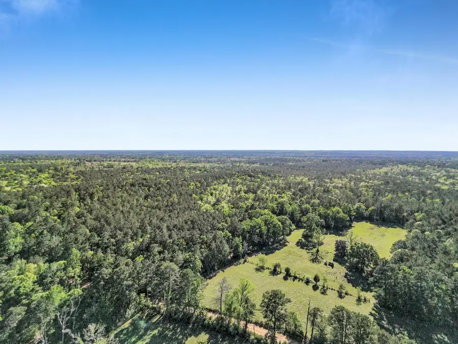 0000 County Road 425, Kirbyville, TX 75956 - #2