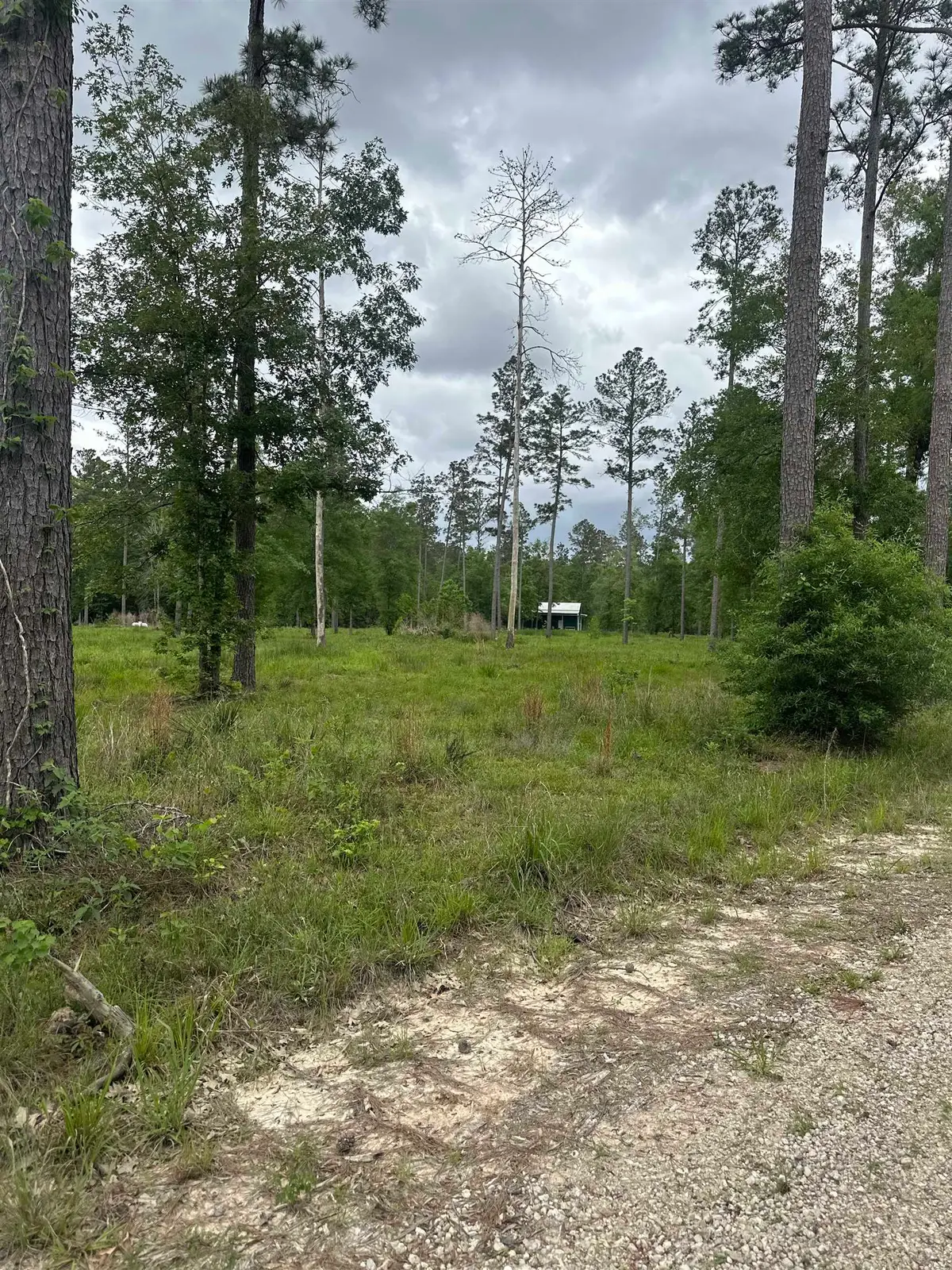 15339 Southern Lane, Sour Lake, TX 77659 - #1