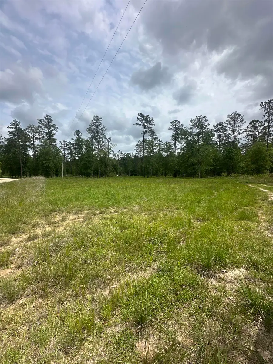 15339 Southern Lane, Sour Lake, TX 77659 - #2