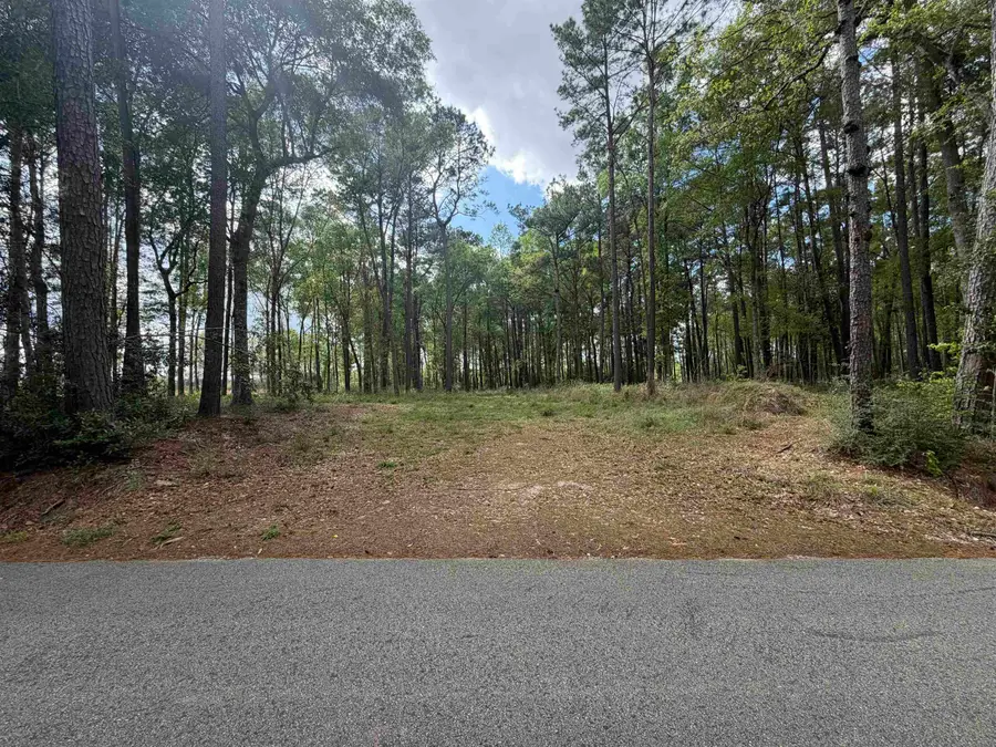 10460 Sweetgum, Lumberton, TX 77657 - #2