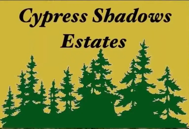 2955 Cypress Shadows Ln, Orange, TX 77632 - #1