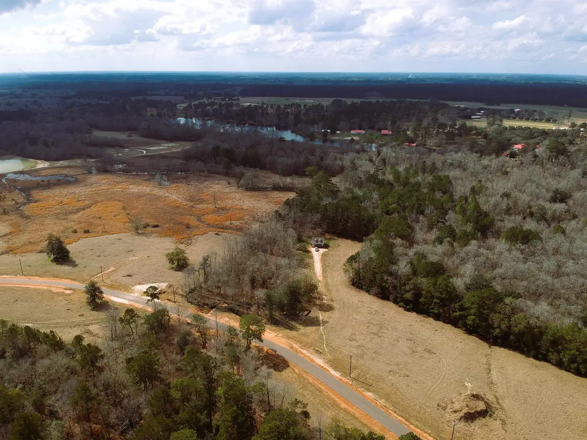 Lot 1 Lakeland Drive, Hillister, TX 77624-9999 - #1