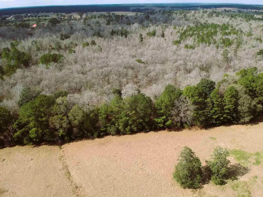 Lot 1 Lakeland Drive, Hillister, TX 77624-9999 - #3