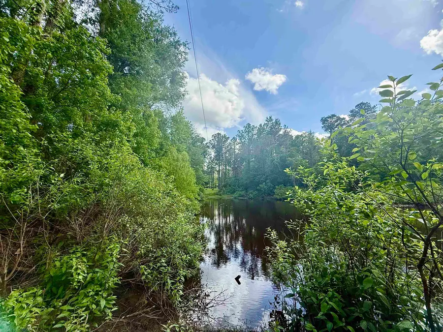 467 County Road 3035, Newton, TX 75966 - #2