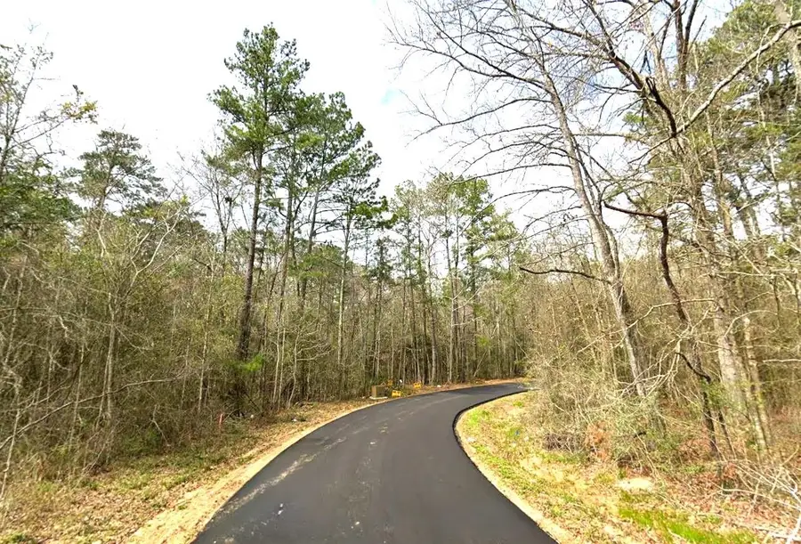 0 Keisha St, Jasper, TX 75951 - #3