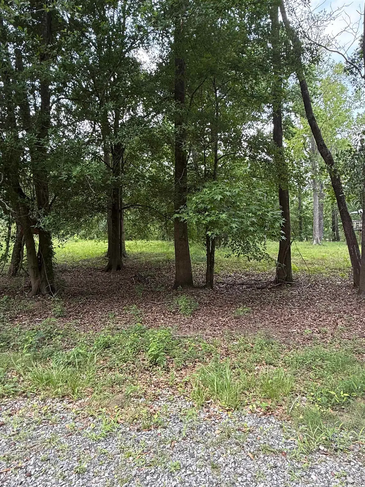 0 Connolly, Vidor, TX 77662 - #1