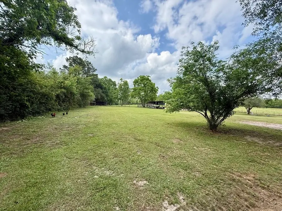 3017 N Hwy 87, Newton, TX 75966 - #3