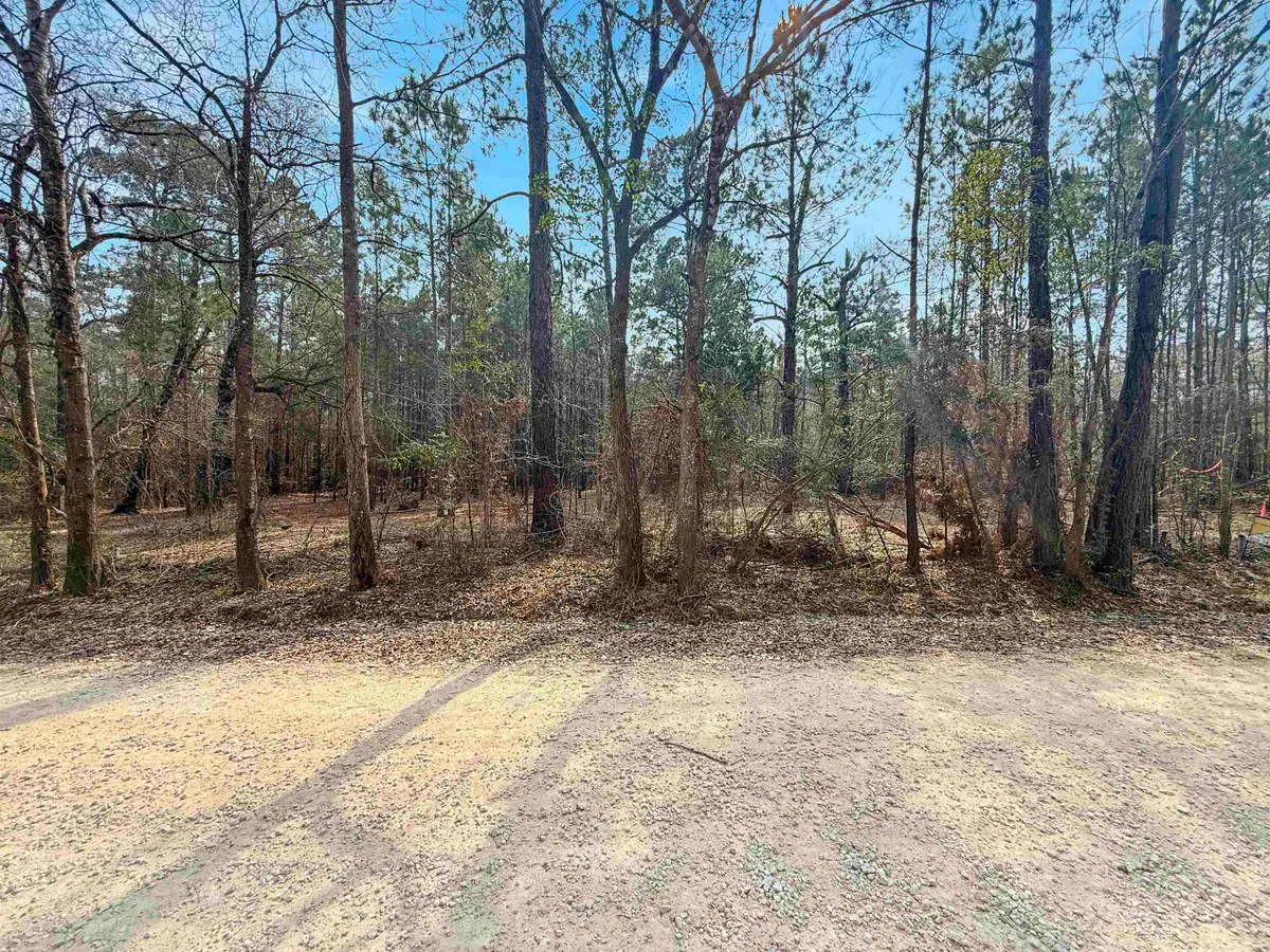 9220 WINGFIELD, Lumberton, TX 77657 - #1