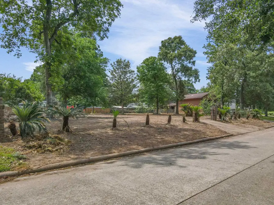 0 Erin, Vidor, TX 77662 - #2