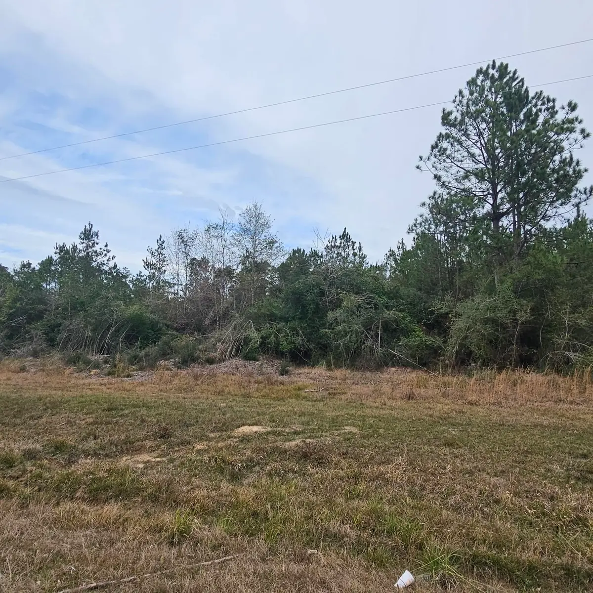 6840 FM 1293, Kountze, TX 77625 - #1
