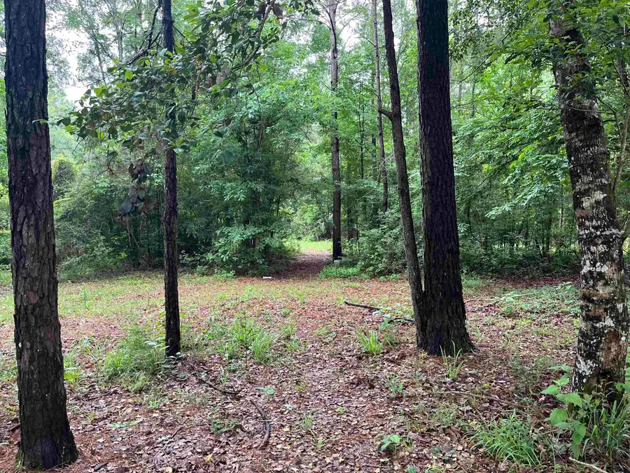 2994 Custer Lane, Silsbee, TX 77656 - #2