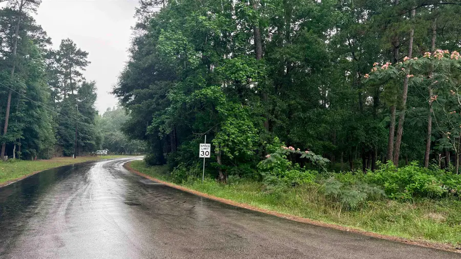 lot 19&20 PERDILOT DRIVE, Woodville, TX 75979 - #2