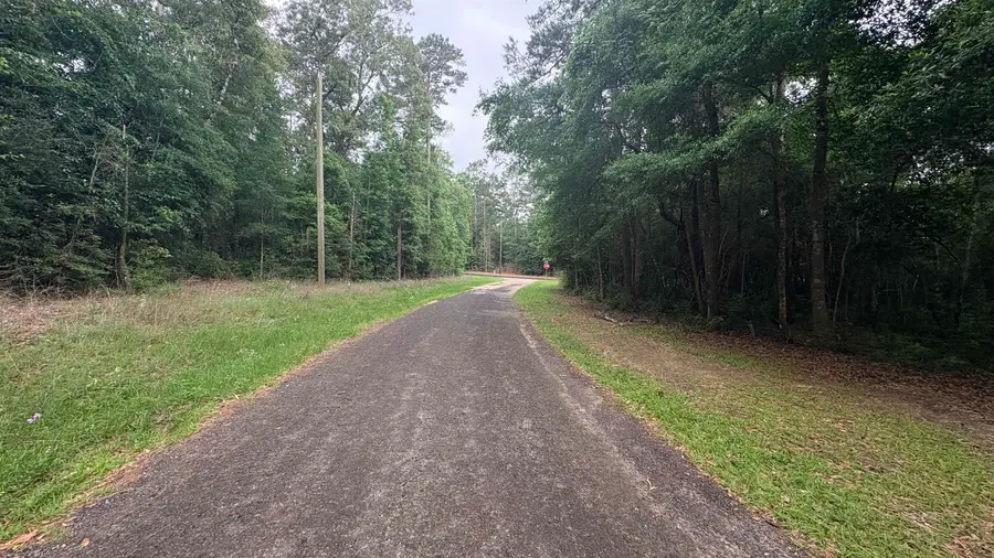 lot 19&20 PERDILOT DRIVE, Woodville, TX 75979 - #3