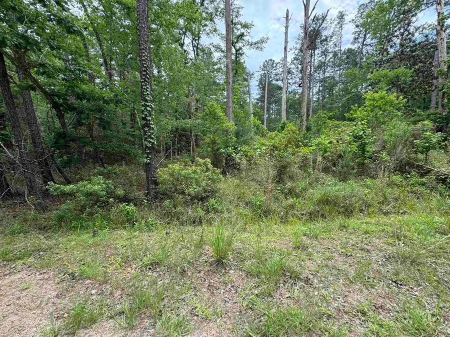 239238 Arborcrest Drive, Brookeland, TX 75931 - #2
