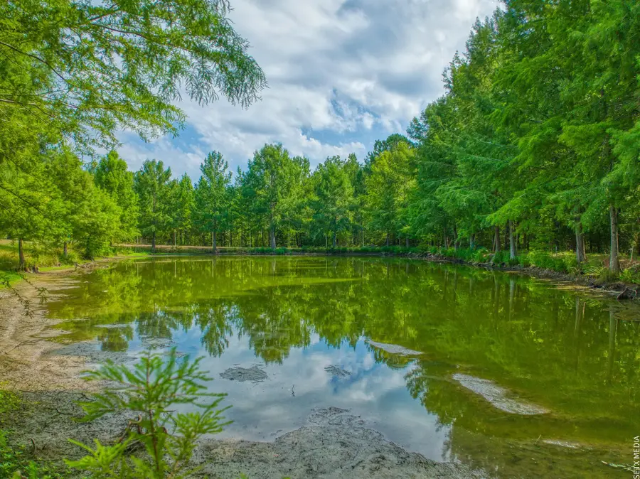 1630 County Road 219, Brookeland, TX 75931 - #2
