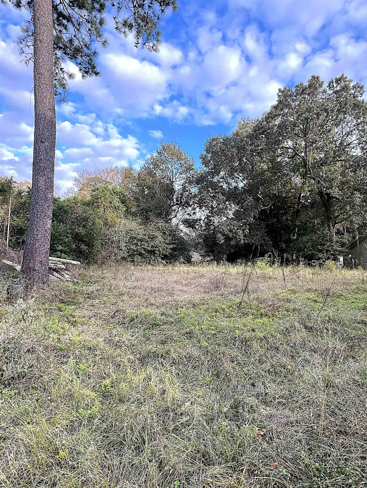 1985 Dogwood, Vidor, TX 77662 - #1
