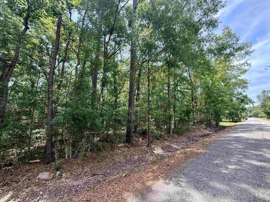 000 Madison Dr., Vidor, TX 77662 - #2
