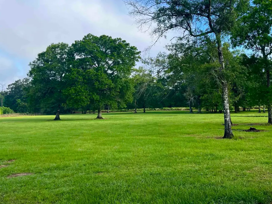 TBD Peveto Rd, Orange, TX 77632 - #3