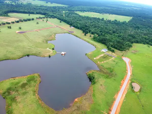 Lot 172 Lakeland Drive, Hillister, TX 77624-9999