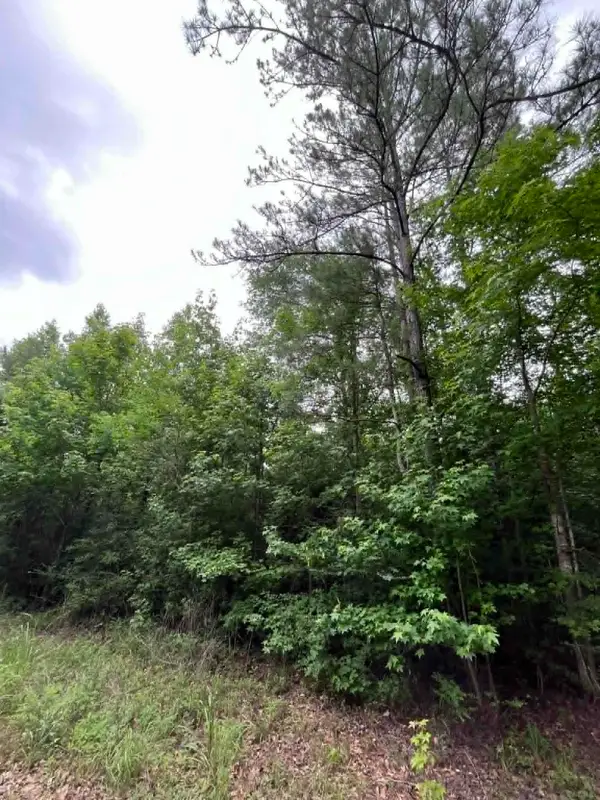 1200 CR 4031, Newton, TX 75966-0000