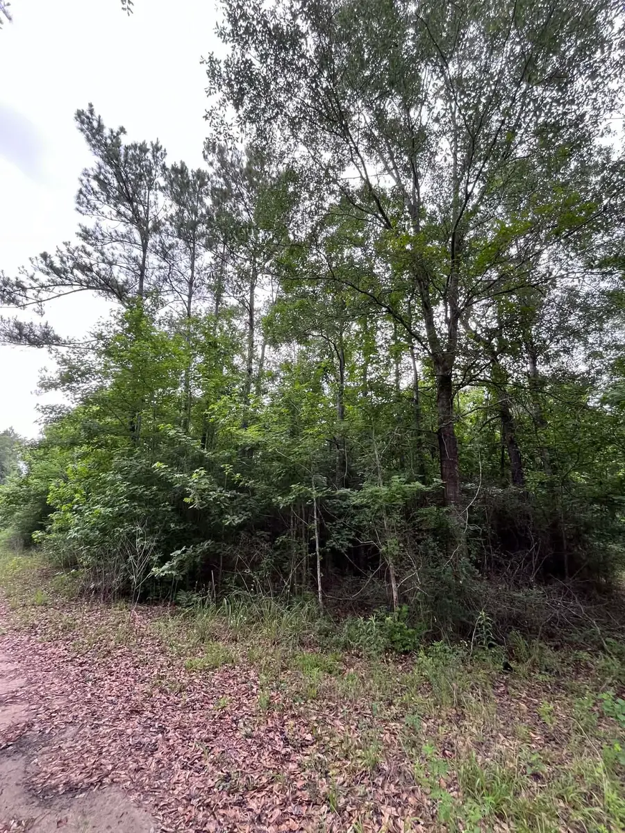 1200 CR 4031, Newton, TX 75966-0000 - #2