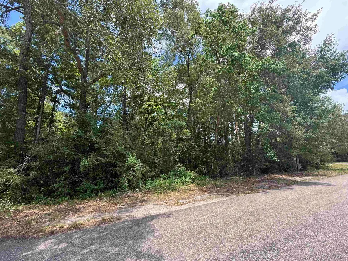 000 Kaiyute Rd, Orange, TX 77632 - #1