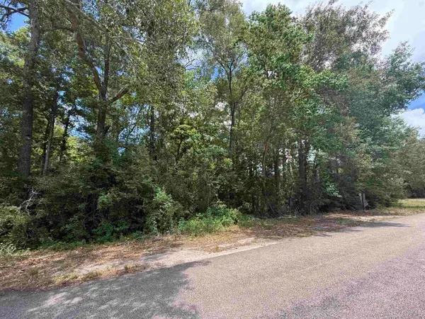 000 Kaiyute Rd, Orange, TX 77632