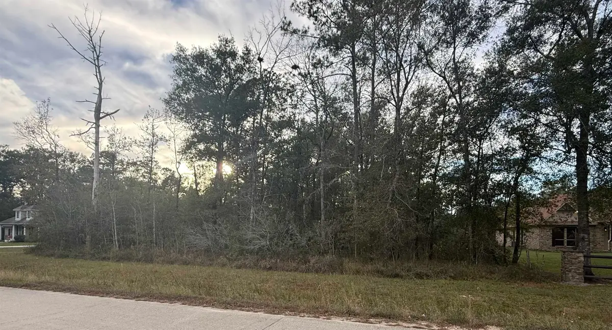 325 Talpa Trail, Lumberton, TX 77657 - #1