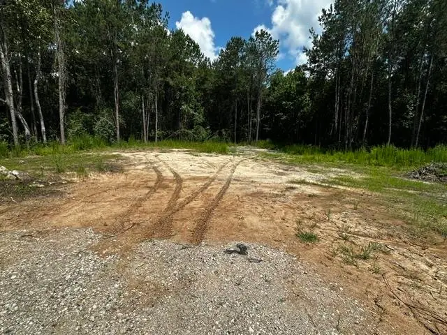 3720 Lakewood Dr, Kountze, TX 77625 - #1