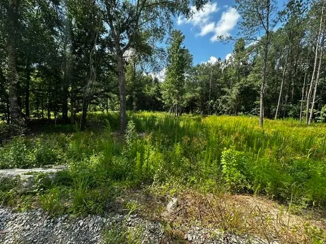 3720 Lakewood Dr, Kountze, TX 77625 - #3