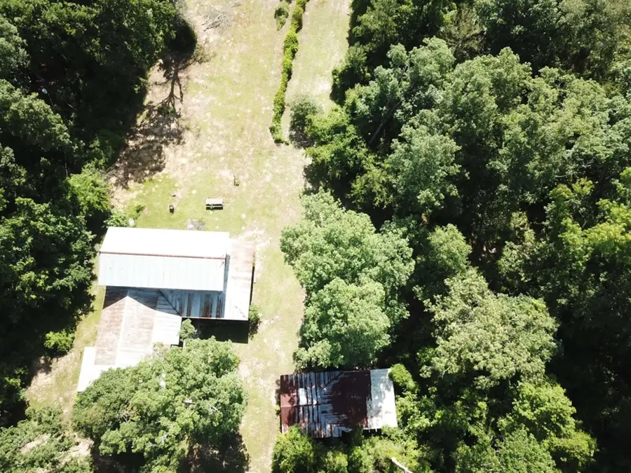 164 CR 2127, Burkeville, TX 75932 - #3
